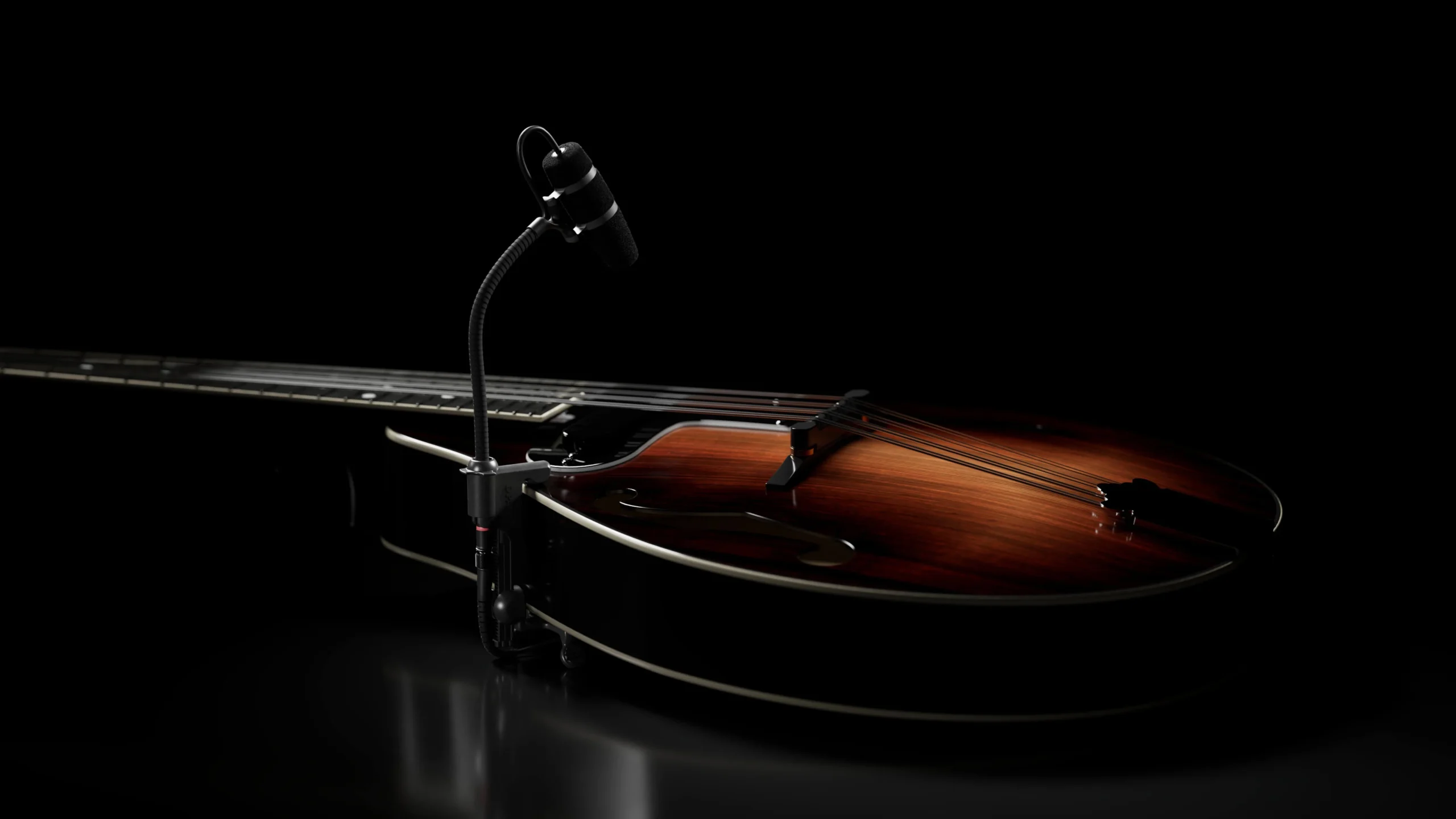 dpa 4099 core plus mikrofon za mandolinu - lav projekt dpa microphones distributer hrvatska